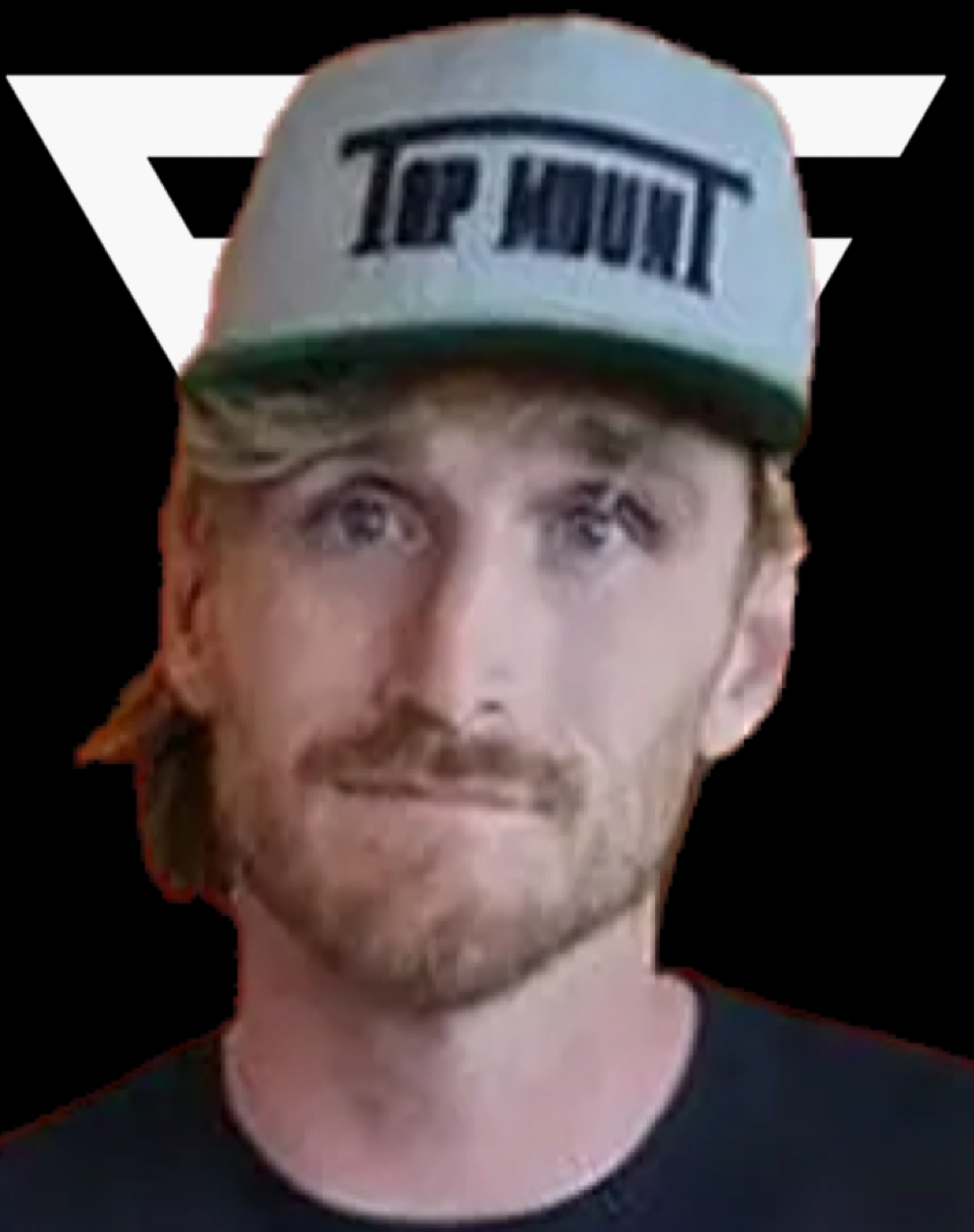 Avatar for Not Logan Paul